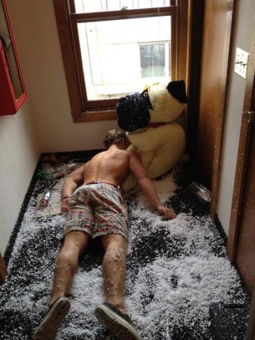 Прикольные картинки (78 фото)