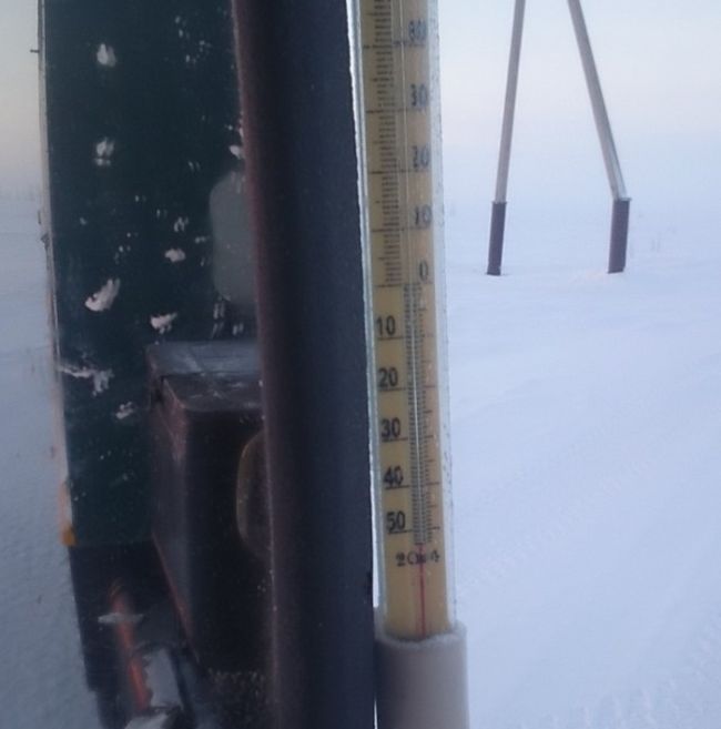 Прикольные картинки (78 фото)