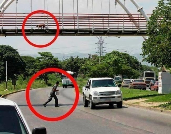 Прикольные картинки (78 фото)