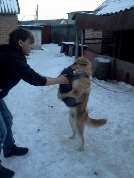 Прикольные картинки (78 фото)