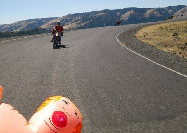 Прикольные картинки (78 фото)