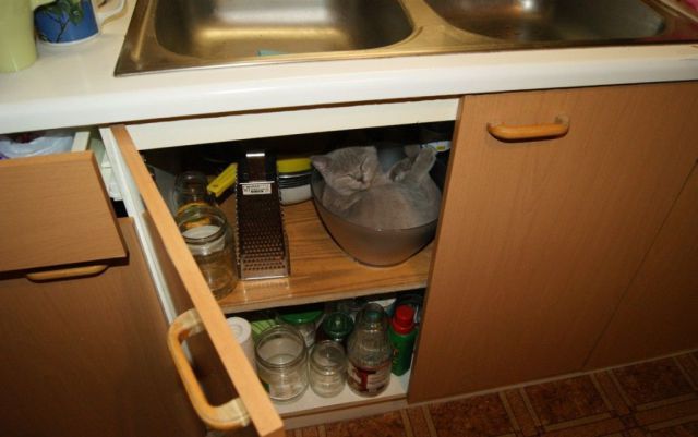 Прикольные картинки (78 фото)