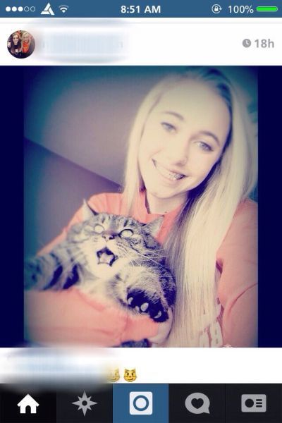 Прикольные картинки (78 фото)