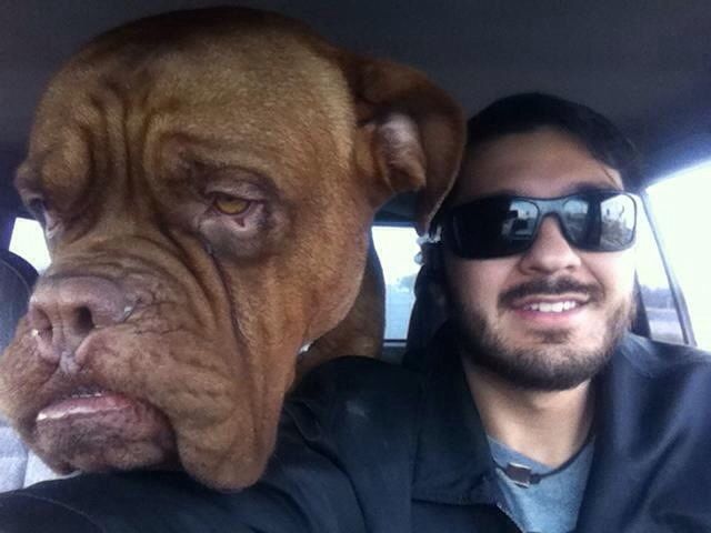 Прикольные картинки (78 фото)