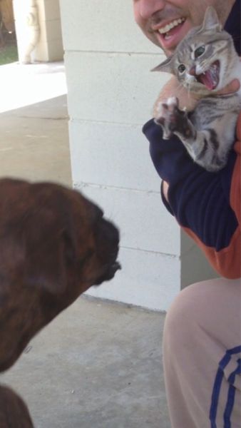 Прикольные картинки (78 фото)