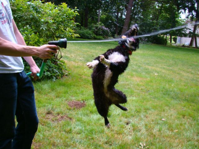 Прикольные картинки (78 фото)