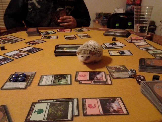 Прикольные картинки (78 фото)