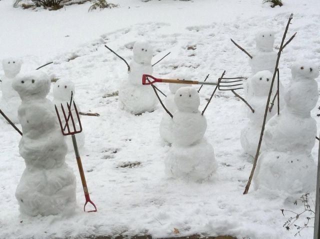 Прикольные картинки (78 фото)