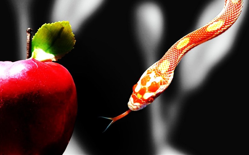 8 лучших упражнений на укрепление силы воли