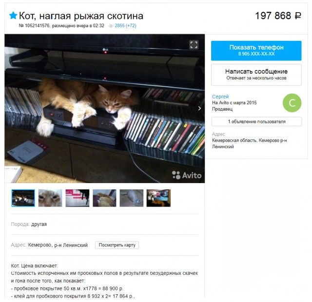 Смешные объявления