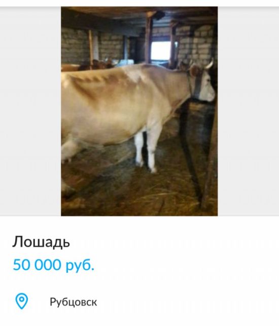 Смешные объявления