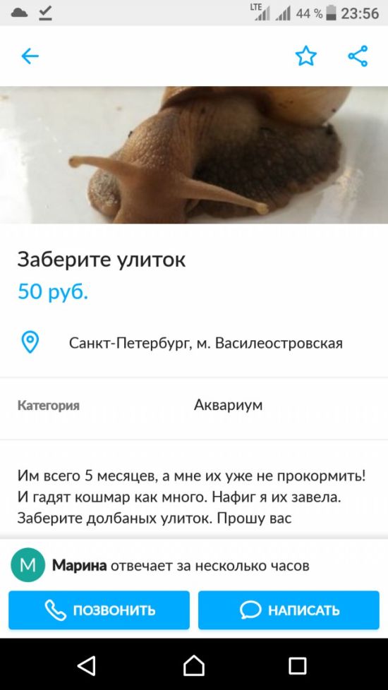 Смешные объявления