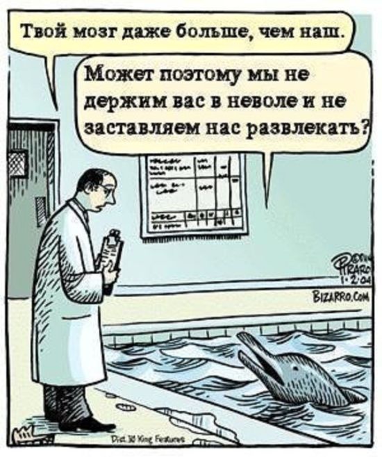 Смешные комиксы