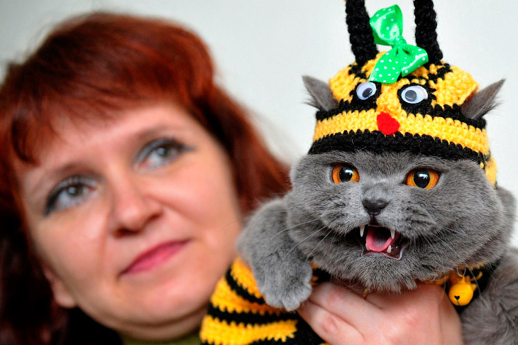 Животные в фотографиях Животные в фотографиях