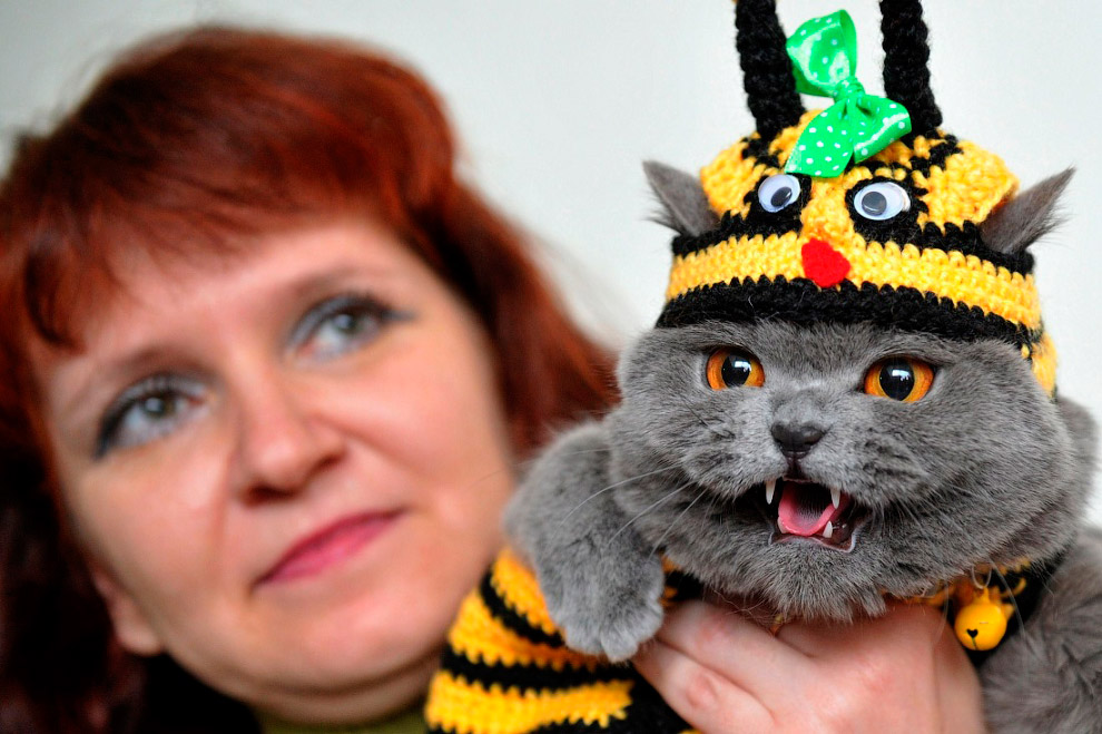 Животные в фотографиях Животные в фотографиях