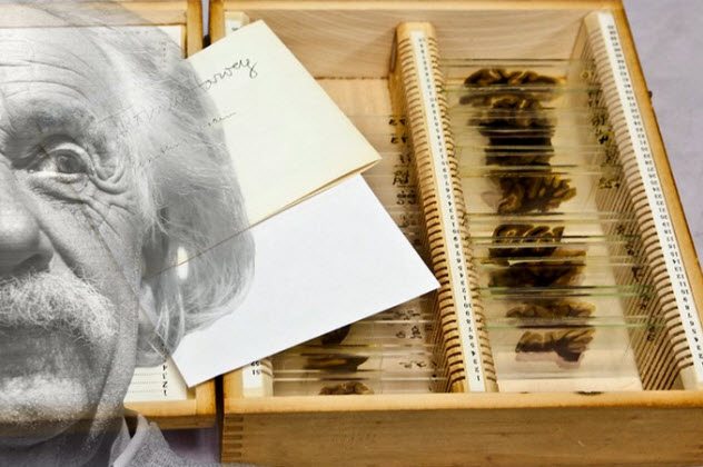 «Что нынче хранится в музеях?» или несколько весьма интересных экспонатов, смотреть на которые сможет далеко не каждый. Часть 1