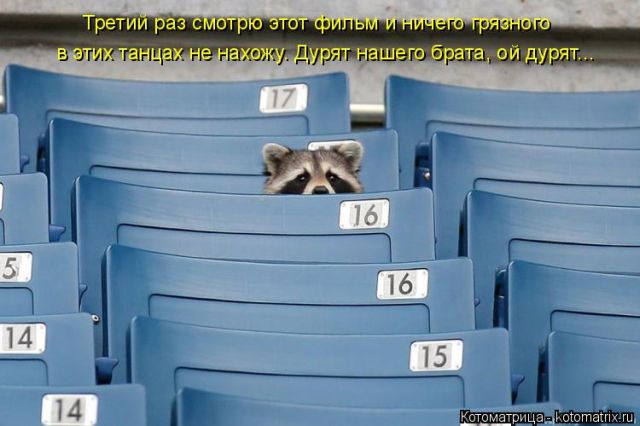 Лучшие котоматрицы недели