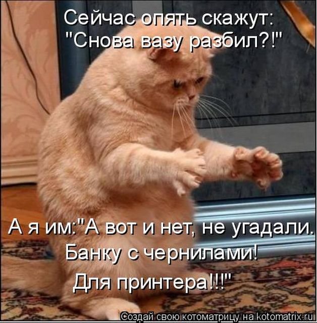 Лучшие котоматрицы недели