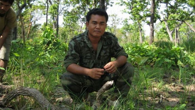 Интересные факты обо всем на свете