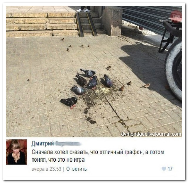 Смешные комментарии из социальных сетей