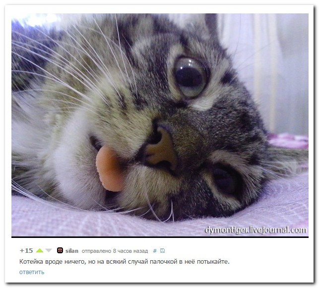 Смешные комментарии из социальных сетей
