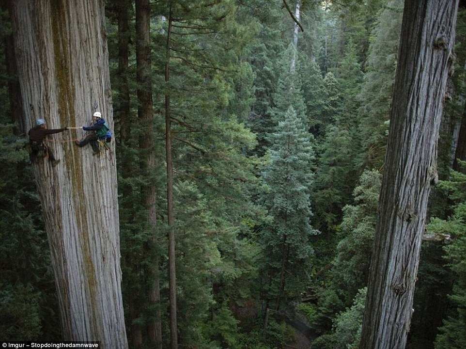 Безумный отдых от рисковых экстремалов Безумный отдых от рисковых экстремалов