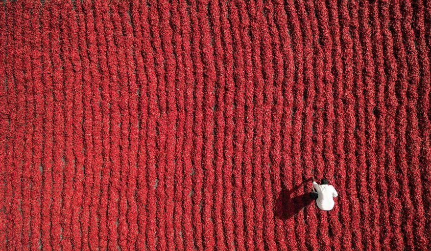 Лучшие снимки из сети Dronestagram, объединяющей любителей дрон-фотографии