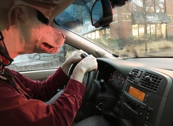 Оптические иллюзии