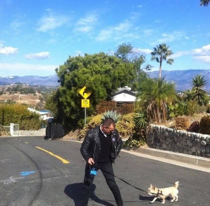 Оптические иллюзии