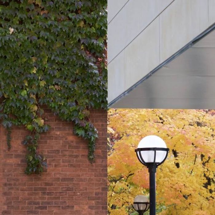 Оптические иллюзии