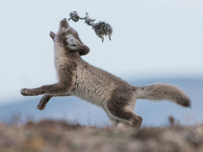 Лучшие фотографии National Geographic Russia в мае