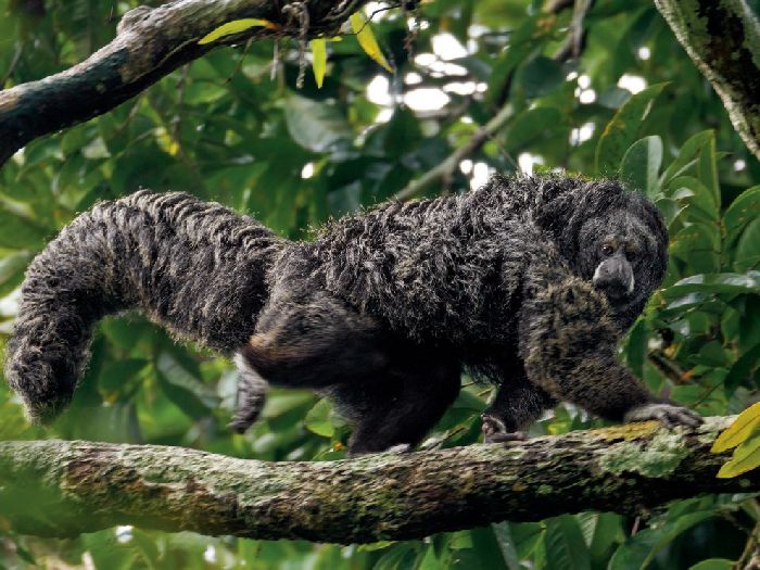 Лучшие фотографии National Geographic Russia в мае