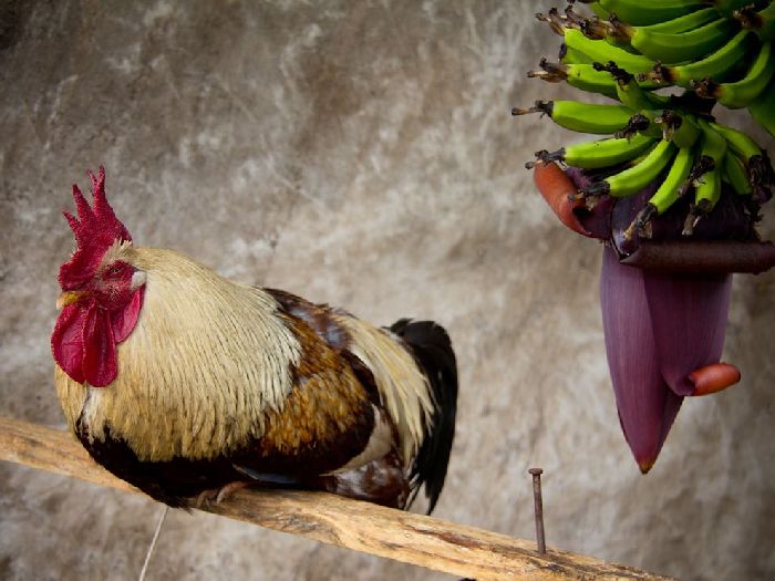 Лучшие фотографии National Geographic Russia в мае