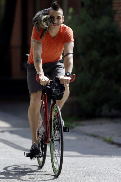 Прикольные картинки