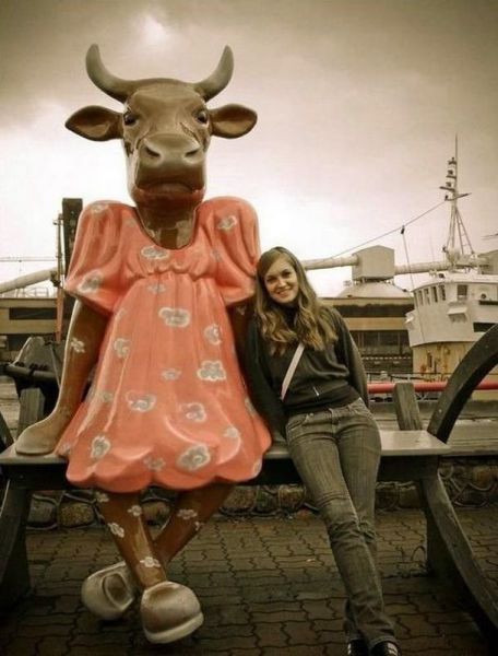 Прикольные картинки