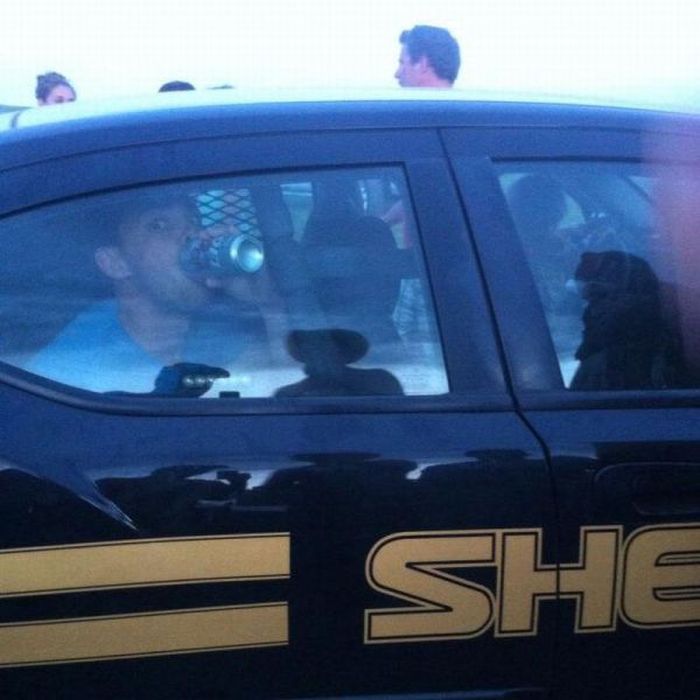 Прикольные картинки