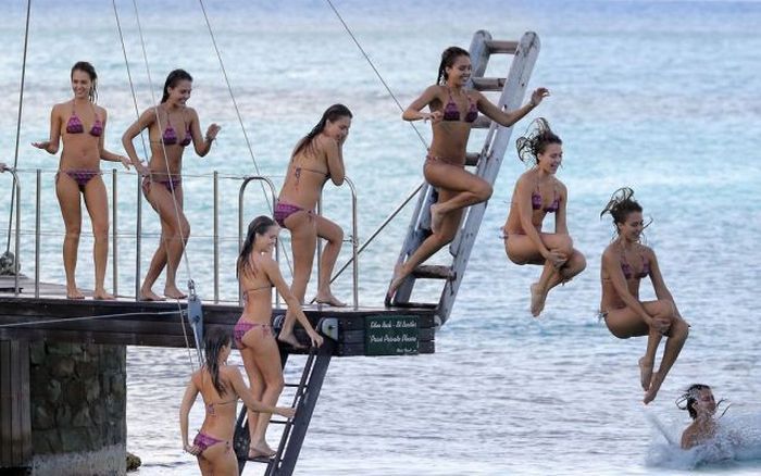 Прикольные картинки