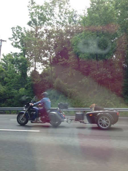 Прикольные картинки