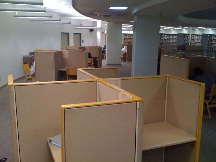 Показалось