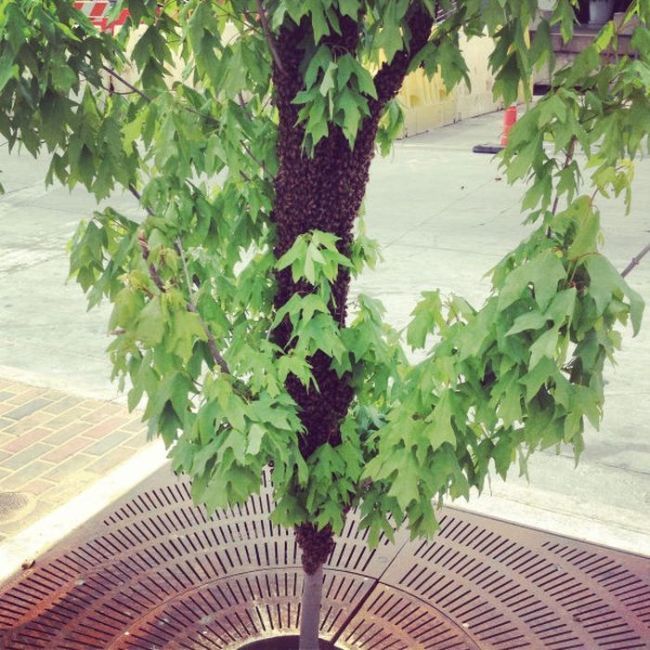 Показалось