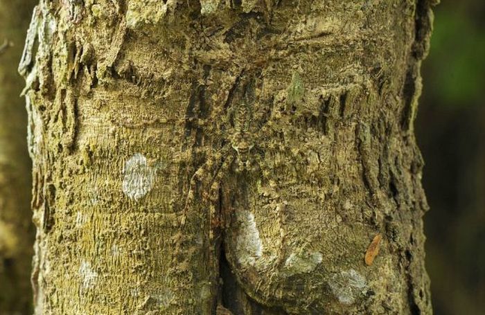 Показалось