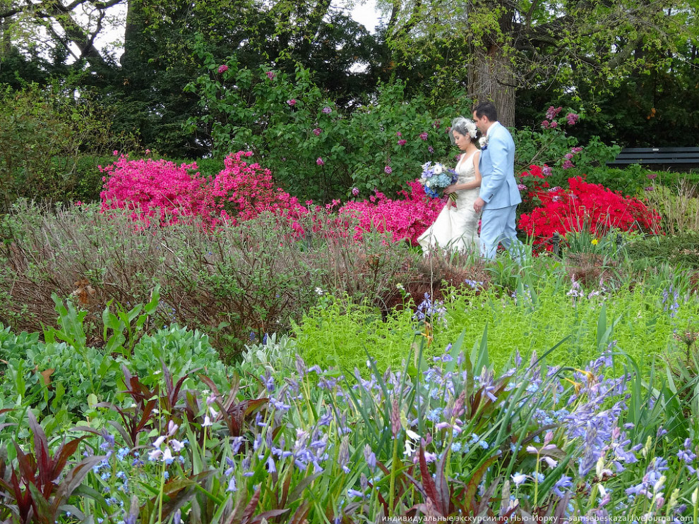 Настоящий Нью-Йорк