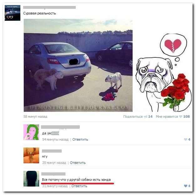 Веселые комментарии из социальных сетей (40 фото)