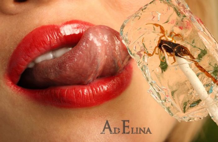 Практическое руководство по куннилингусу (17 фото)