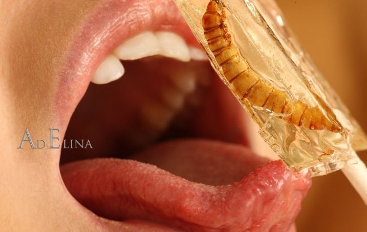 Практическое руководство по куннилингусу (17 фото)