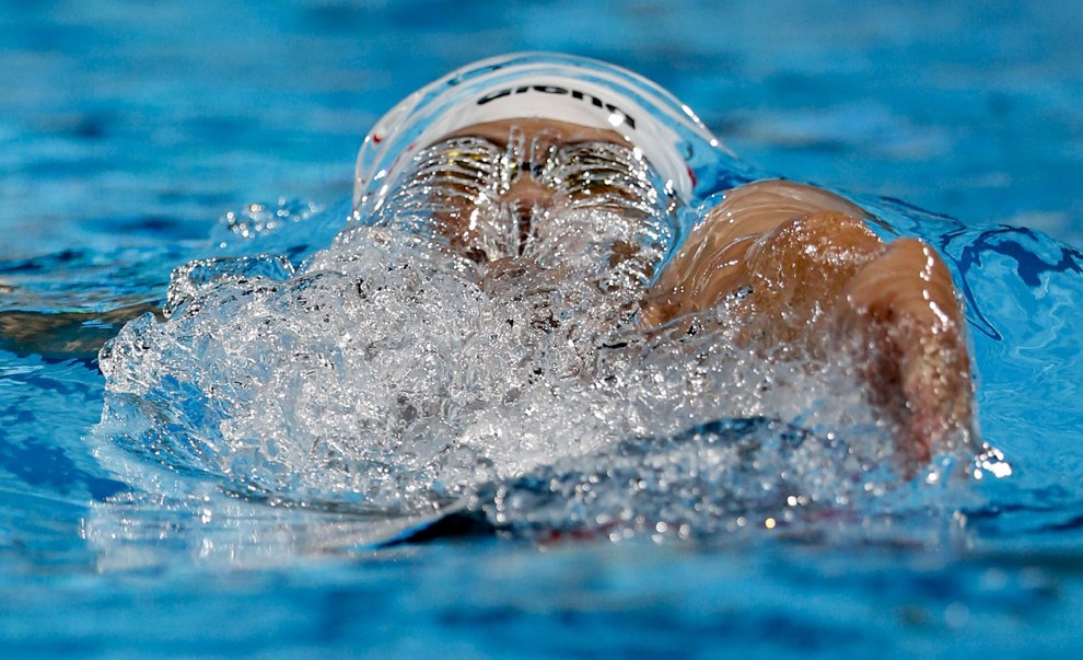 Чемпионат мира по водным видам спорта 2013 Чемпионат мира по водным видам спорта 2013