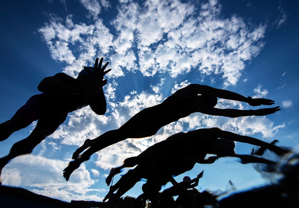 Чемпионат мира по водным видам спорта 2013 Чемпионат мира по водным видам спорта 2013