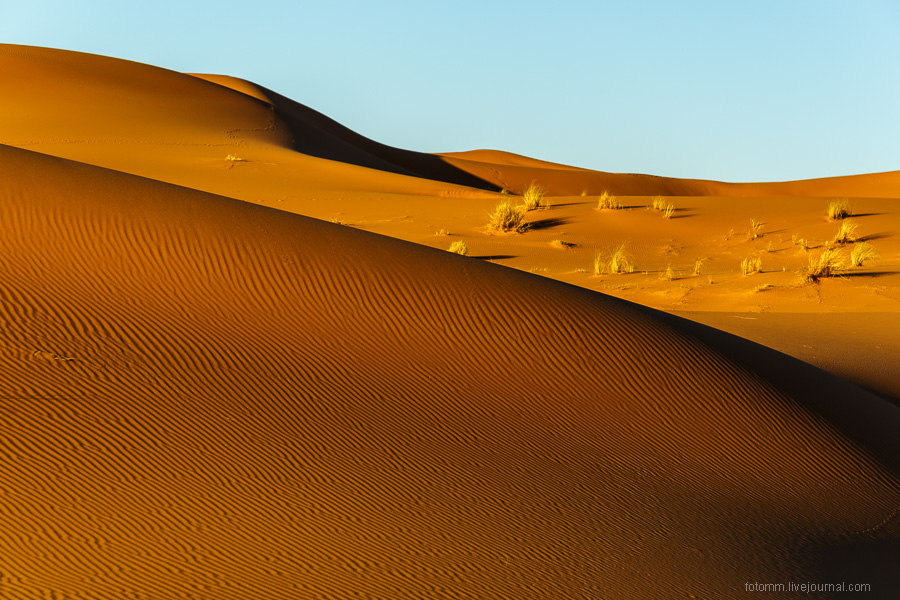 Пески времени или прогулка по пустыне Сахара