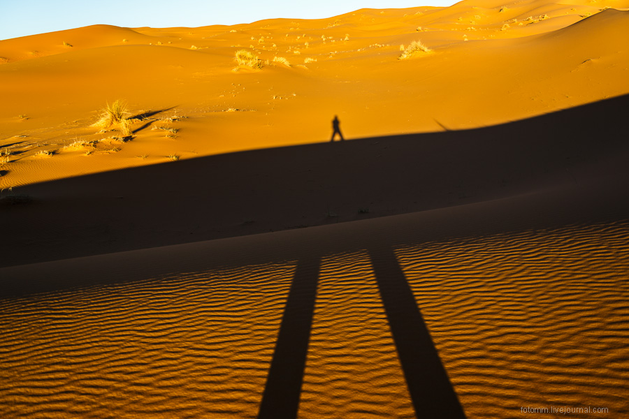 Пески времени или прогулка по пустыне Сахара