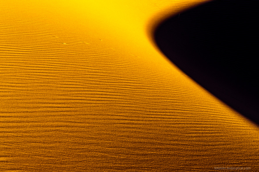 Пески времени или прогулка по пустыне Сахара